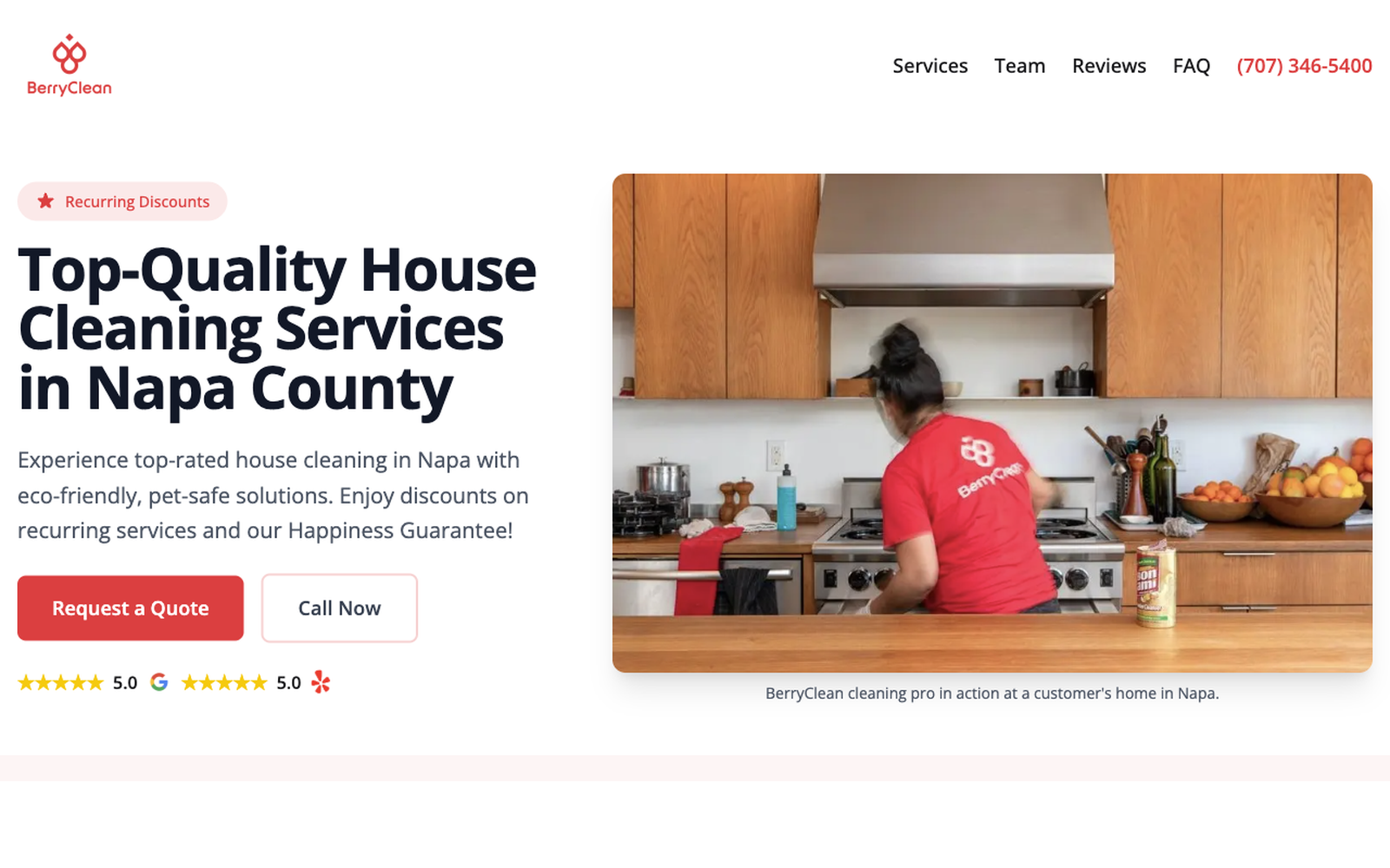 BerryClean Napa desktop design preview